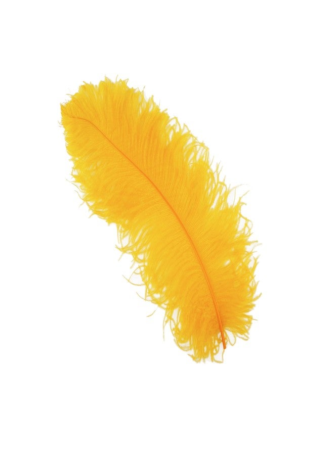 Zucker Feather (TM) - Ostrich Prime Femina Plumes - Mango